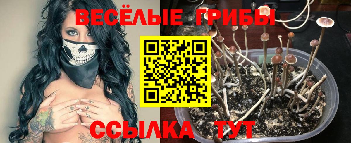 Псилоцибиновые грибы ЛСД Лосино-Петровский